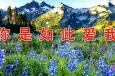20170508 你是如此爱我